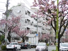 japan-apr10-14