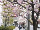 japan-apr10-18