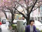 japan-apr10-19