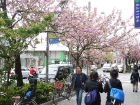 japan-apr10-20