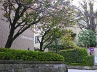 japan-apr10-57